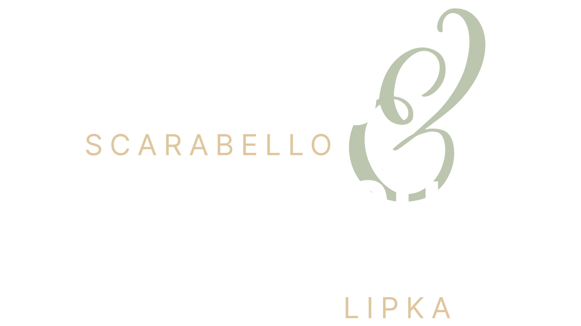 Ruggero Scarabello & Joshua Lipka